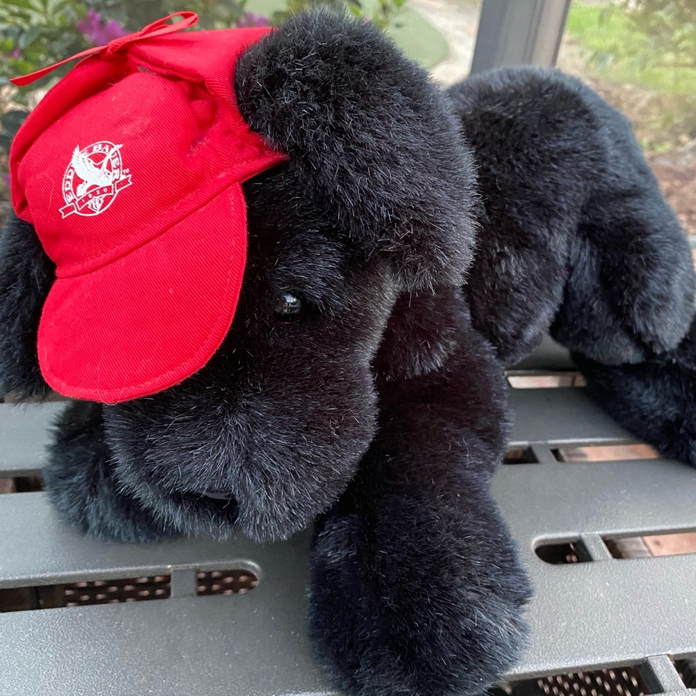 Gund 1995 Eddie Bauer Black Labrador Dog Plush 16” Red Hat‎ Cap Stuffed V…